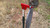 T post steel target hanger hook W/ 8 inch Gong