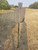 T post steel target hanger hook W/ 10 inch Gong