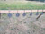 Portable Steel Challenge Plate Rack Kit W- 6 6 3/8 AR500 Gongs