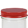 Red Standard Lids