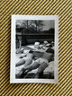 Topless Women Sunbathing on Roof - Circa 1940s - College Americana