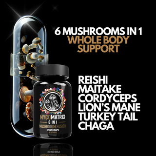 MYCOMATRIX 6-IN-1 Medicinal Mushrooms