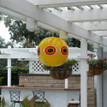 Scare birds away from pools, patios and gazebos with Bird B Gone Scare Balloon