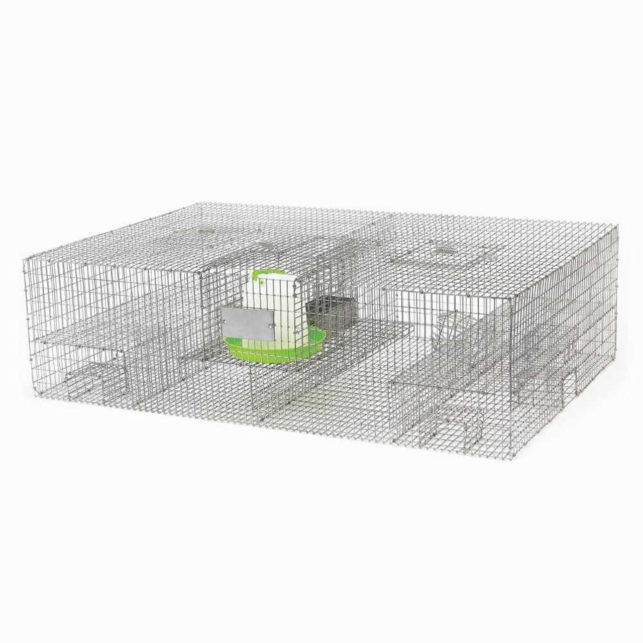 Live Sparrow Trap Bird Control Products Bird B Gone