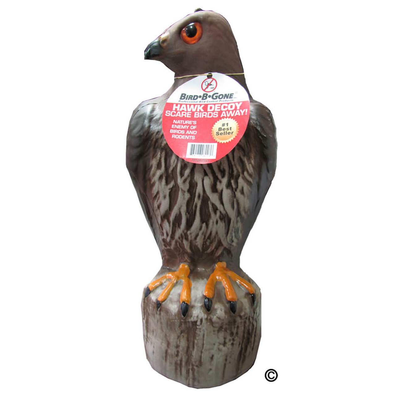 red tailed hawk decoy