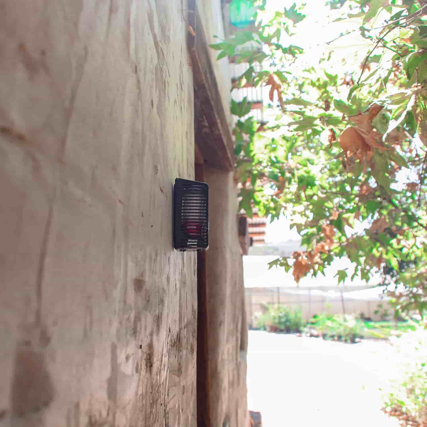 Bird-Out Aromatic Bird Repellent | Keep Birds Away