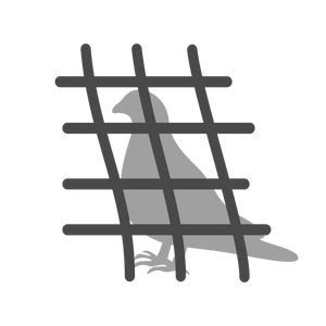 Bird Netting