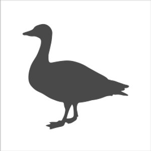 https://cdn11.bigcommerce.com/s-xj69ljw63/images/stencil/300x300/c/bird-goose-control-266x266__92619.original.png