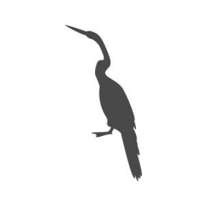 https://cdn11.bigcommerce.com/s-xj69ljw63/images/stencil/300x300/d/bird-cormorant-control-266x266__40403.original.png