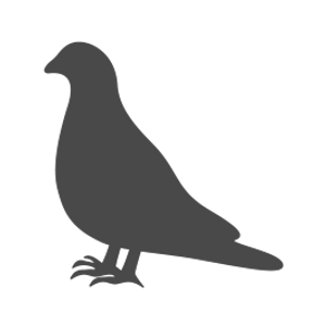 https://cdn11.bigcommerce.com/s-xj69ljw63/images/stencil/300x300/o/bird-pigeon-control-266x266__45141.original.png