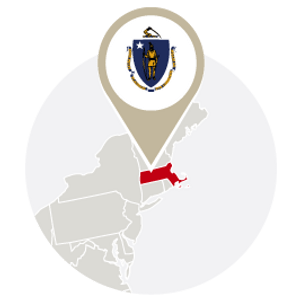 Massachusetts Bird Control