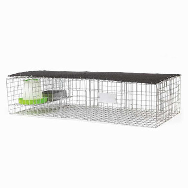 Collapsible Pigeon Trap 40 x 22 x 12