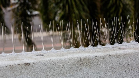Learn How to Install Bird Spikes Properly