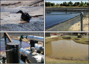 Best Bird Deterrent for Ponds: Heavy Duty Pond Netting