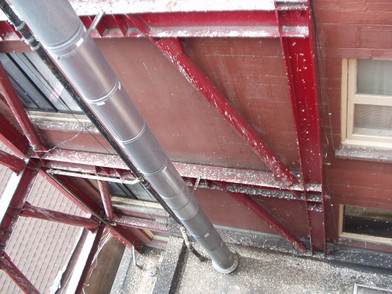 Bird Control Solutions for Today’s Construction Industry