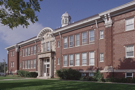 Bird Deterrent Devices to Keep Schools Free from the Bird Mess