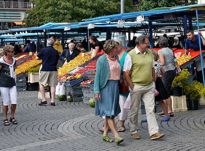 Bird Spike Strips Keep Pest Birds from Outdoor Food Markets