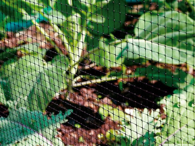 Gardening Netting for Ground and Container Gardens Gardening Netting for Ground and Container Gardens