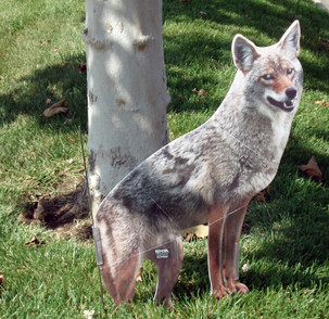 Got Pest Birds? Scare them Away with Visual Bird Deterrents!