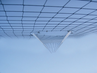 Improperly Installed Bird Netting Can be Harmful to Birds