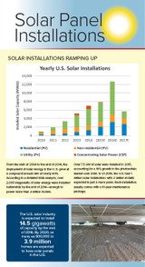 Infographic: Solar Panels and birds