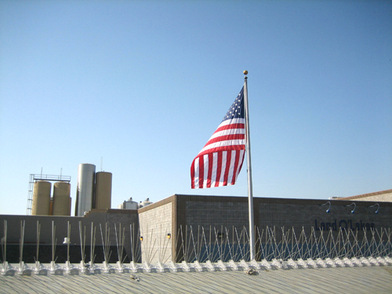 Made in the USA means quality bird control products Made in the USA means quality bird control products