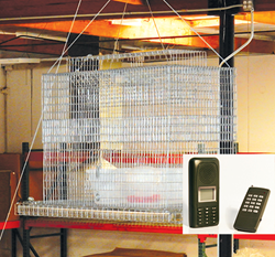 New Sparrow Charmer & Sparrow Sky Trap Combo Delivers One-Two Punch to Sparrow Problem