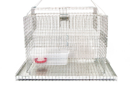 New Sparrow Sky Trap by Bird B Gone Keeps Food Production Facilities Sparrow Free New Sparrow Sky Trap by Bird B Gone Keeps Food Production Facilities Sparrow Free