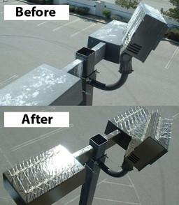 Pigeon Spikes, the Proven Bird Deterrent for Exterior Lighting