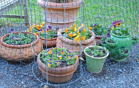 Plant Netting Enhances Container Gardening