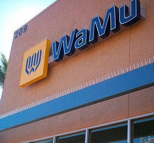 Plastic Bird Spikes  Solution to Your Pest Bird Problems