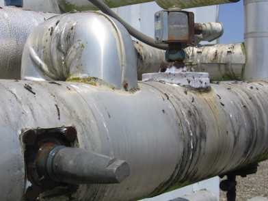 Preventative Maintenance: Check for Birds