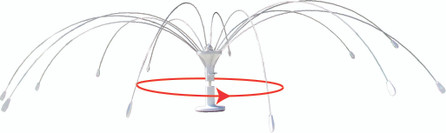 Rotating Bird Spider Now Available