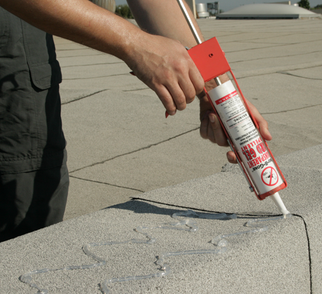 The Bird Repellent Gel That Gives Pest Birds the Creeps