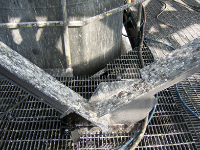 Why is Bird Control Important