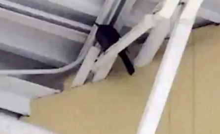 Why it’s Critical to Keep Birds Out of Stores