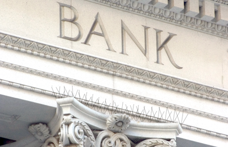 Why You Should Include Bird Proofing in your Building Maintenance