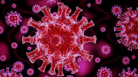 Do Birds Carry Disease? Bird Poop the Avian Super Spreader