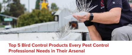 Top 5 Bird Control Products Pest Control Professionals Need