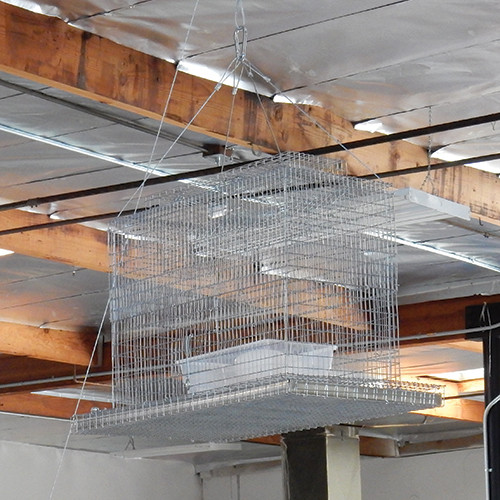 Bird B Gone Sparrow Capture Trap Hanging from Ceiling of Warehouse