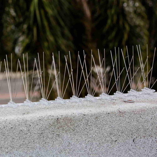 Bird B Gone Pigeon Spikes installed on parapet ledge Bird B Gone Pigeon Spikes installed on parapet ledge