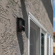 Bird-Out Aromatic Bird Repellent | Keep Birds Away