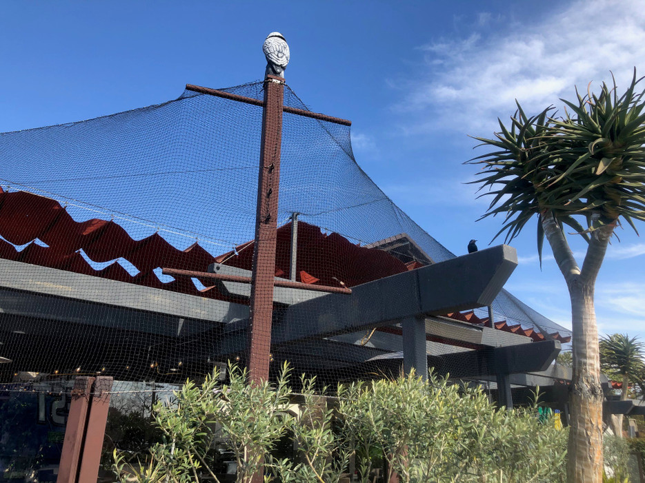 The Best Bird Control Problem is the One That Never Happened