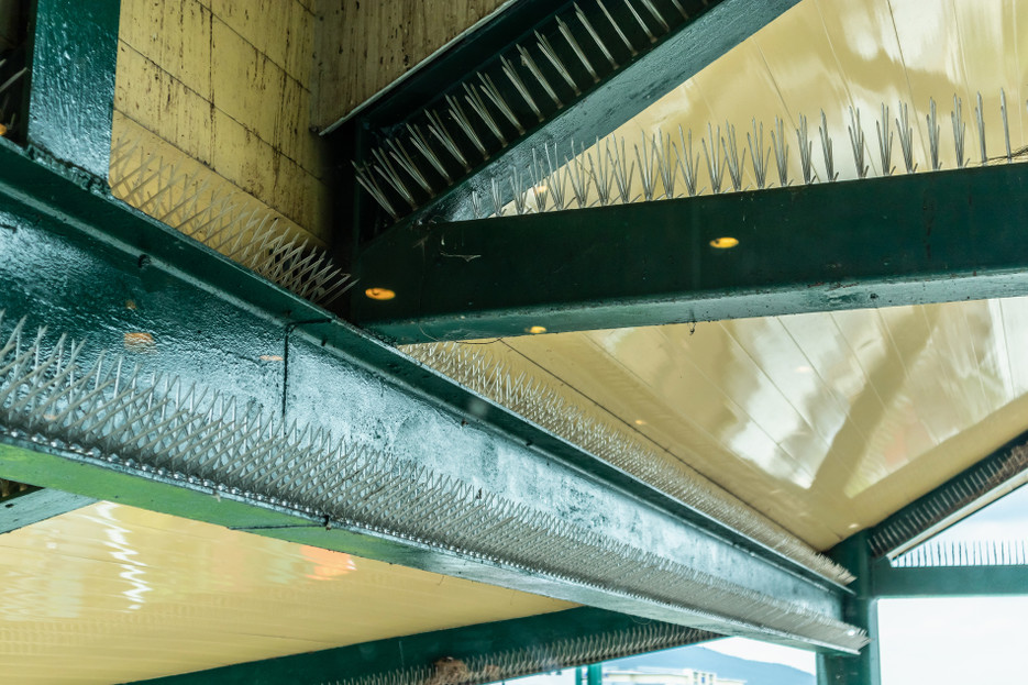 Bird Control Products an Infographic