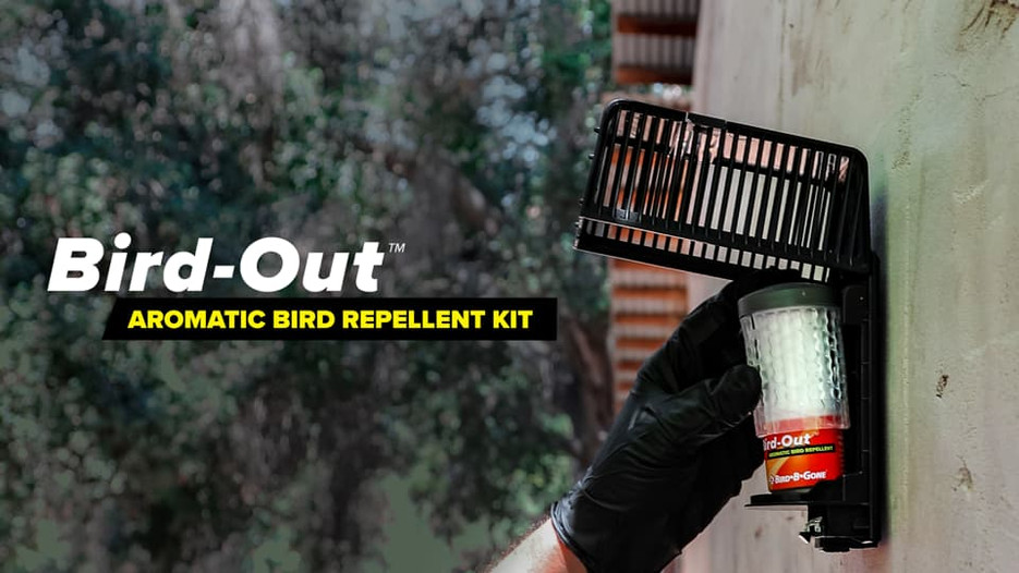 Benefits of Bird-Out as a Bird Repellent