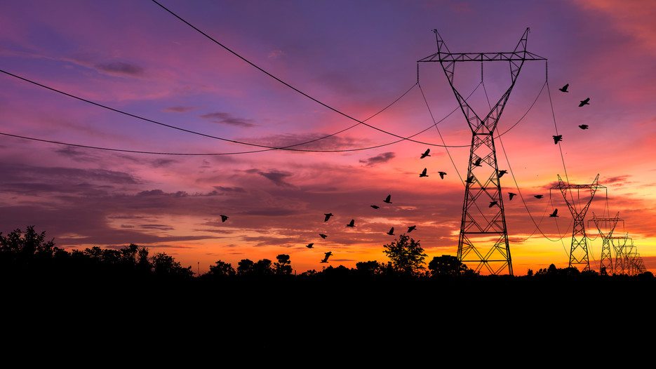 Bird Control for Electrical Towers