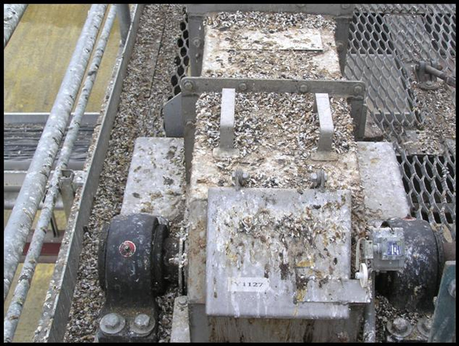 Bird Control for Facility Managers Bird Control for Facility Managers