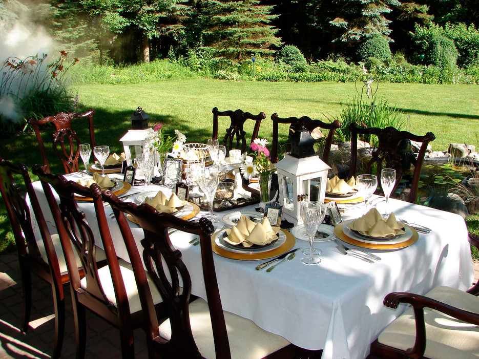 Bird Spikes and other Bird Control Products are the Solution to Backyard Bird Problems