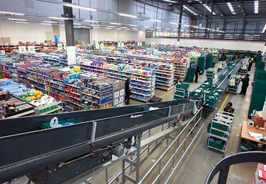 Birds: A Warehouse’s Productivity Nightmare