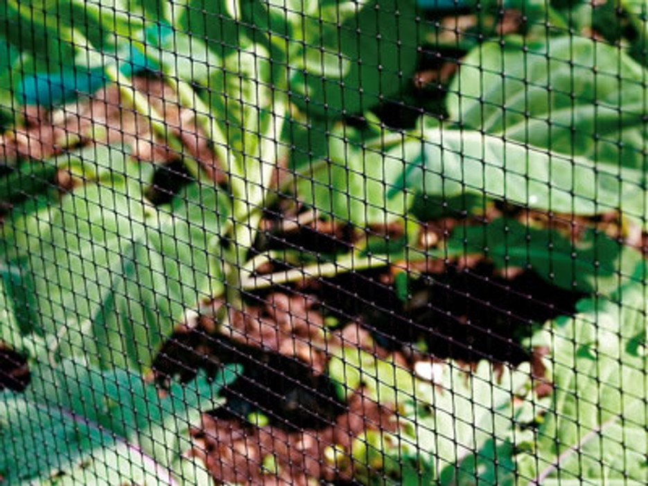 Garden Bird Netting, Garden Mesh